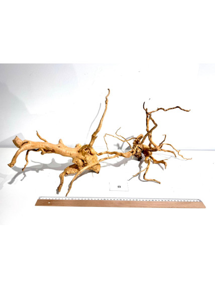 Raiz Roja Seleccionada - Pack número 8