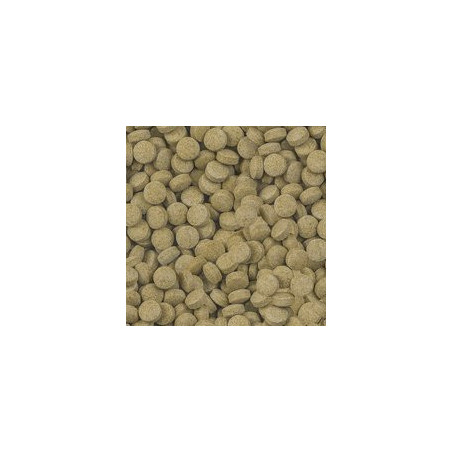 SERA - Comida Viformo Pleco Tabs 100mL