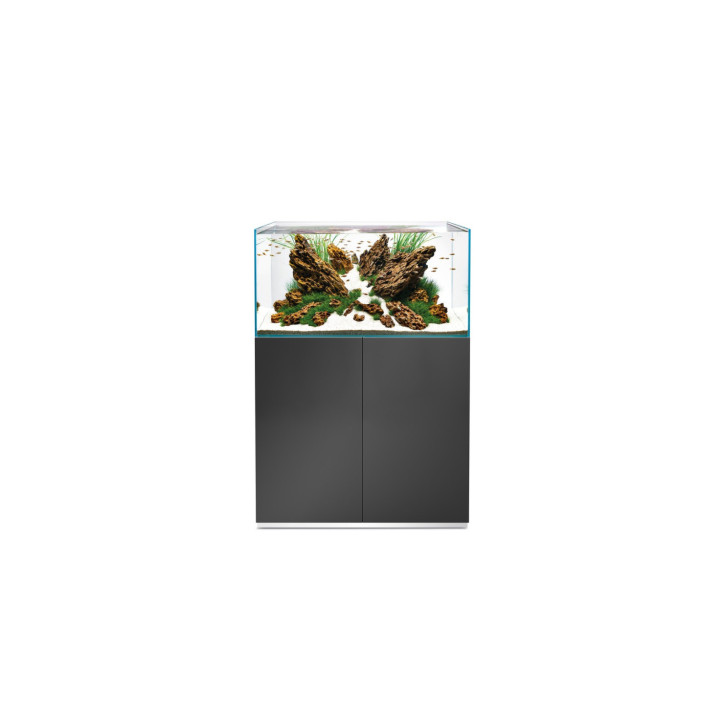 SET OASE ScaperLine 90 Gris con filtro BioMaster Thermo 600