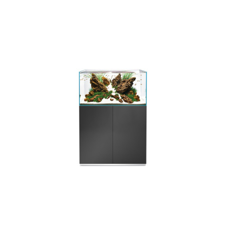 SET OASE ScaperLine 90 Gris con filtro BioMaster Thermo 600