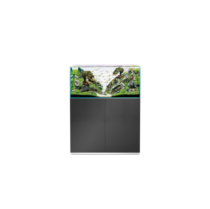 SET OASE ScaperLine 100 Gris con filtro BioMaster Thermo 850