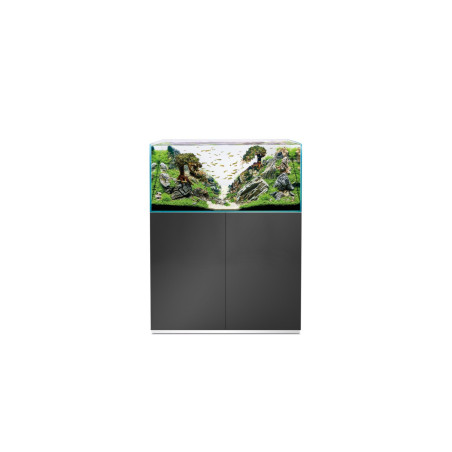 SET OASE ScaperLine 100 Gris con filtro BioMaster Thermo 850
