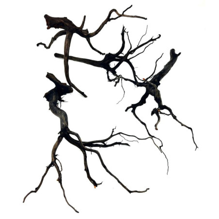 Madera Rasamala Black - Tamaño XL