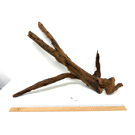 DriftWood Seleccionada - Pack número 5