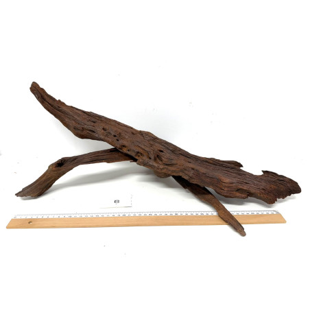 DriftWood Seleccionada - Pack número 6