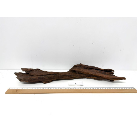 DriftWood Seleccionada - Pieza número 7