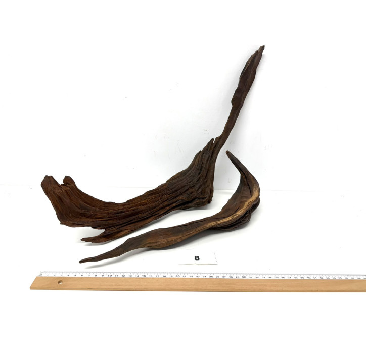 DriftWood Seleccionada - Pack número 8