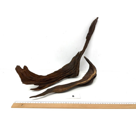 DriftWood Seleccionada - Pack número 8