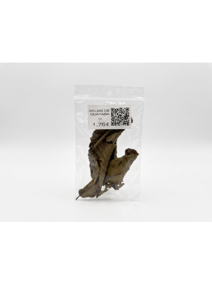 Hoja de Guayaba 2
