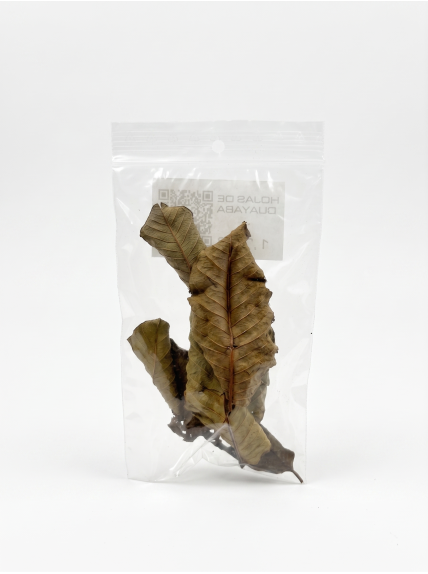 Hoja de Guayaba