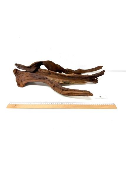 DriftWood Seleccionada - Pack número 6