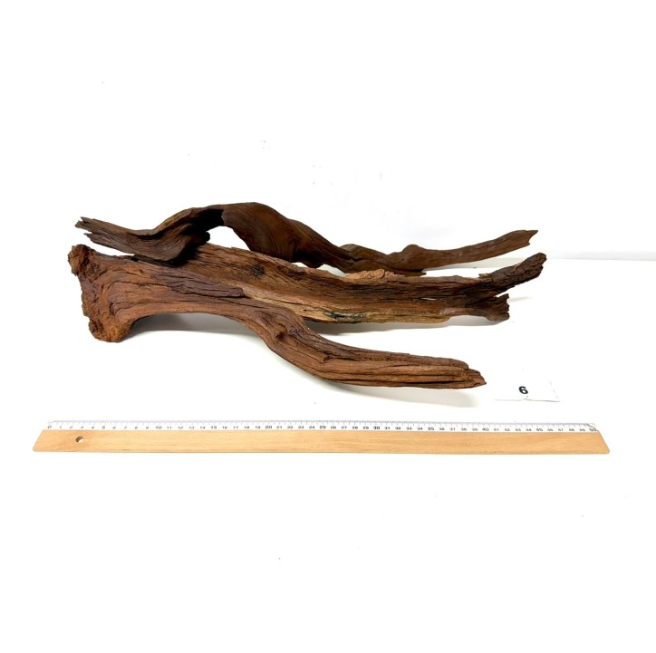 DriftWood Seleccionada - Pack número 6