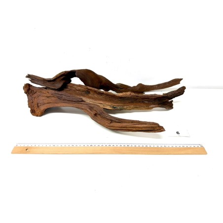DriftWood Seleccionada - Pack número 6