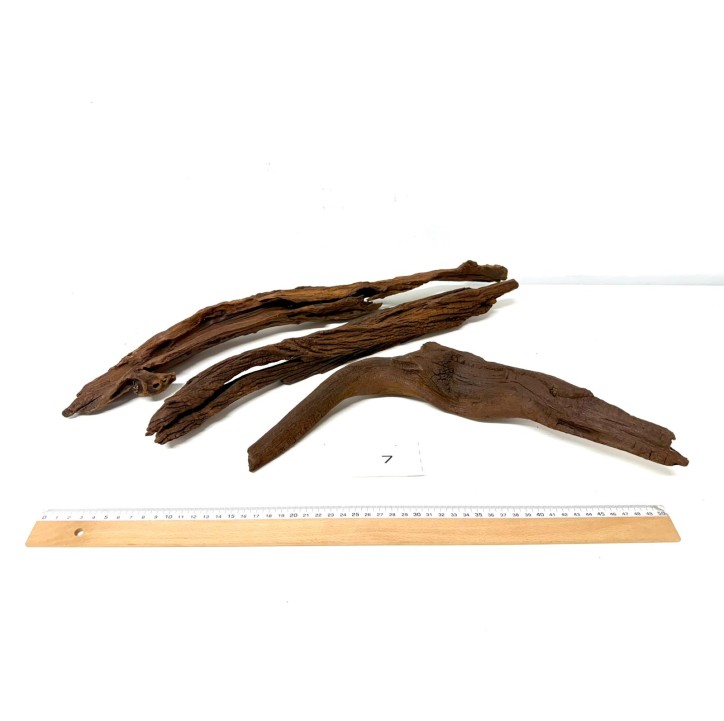 DriftWood Seleccionada - Pack número 7