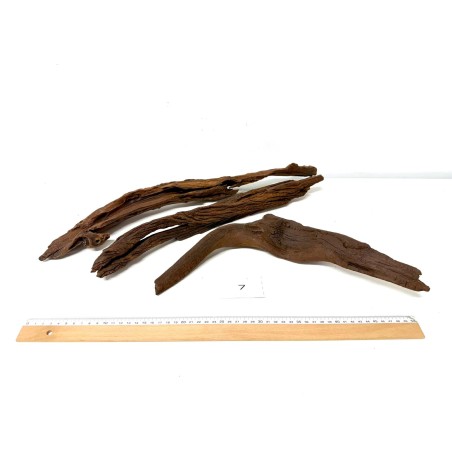 DriftWood Seleccionada - Pack número 7
