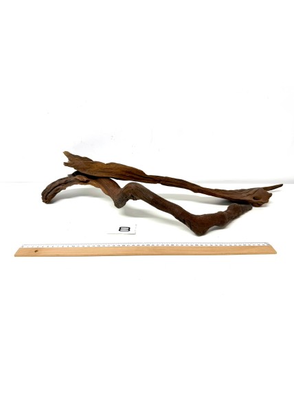 DriftWood Seleccionada - Pack número 8