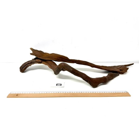 DriftWood Seleccionada - Pack número 8