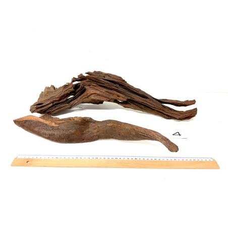 DriftWood Seleccionada - Pack número 4
