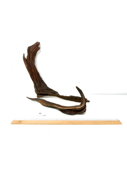 DriftWood Seleccionada - Pack número 9