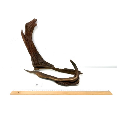 DriftWood Seleccionada - Pack número 9