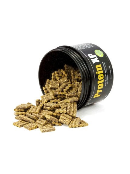 GlasGarten -  Protein XP - 35gr 2