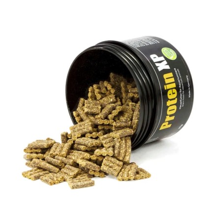 GlasGarten -  Protein XP - 35gr