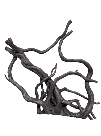 Raíz Roja Negra – Madera natural para acuarios (precio por Kg)